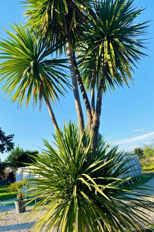 Quinta De Areias Panzió Crespos Kültér fotó