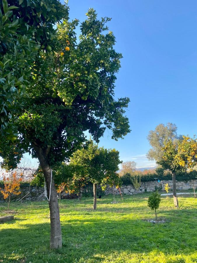 Quinta De Areias Panzió Crespos Kültér fotó