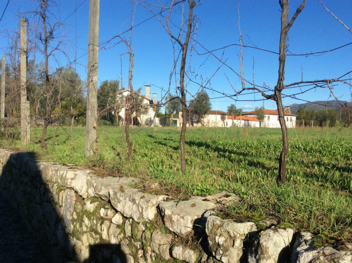 Quinta De Areias Panzió Crespos Kültér fotó