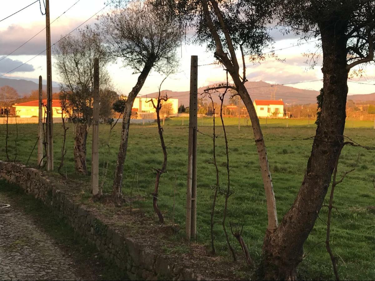 Quinta De Areias Panzió Crespos Kültér fotó